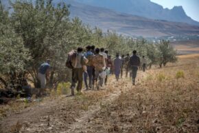 The role of narratives in migratory decision-making: the case of Afghans in Turkey